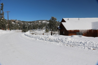 Enlarge photo 33
