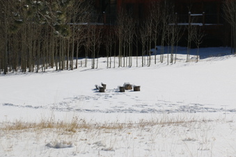 Enlarge photo 38