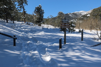 Enlarge photo 58