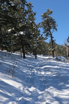 Enlarge photo 61