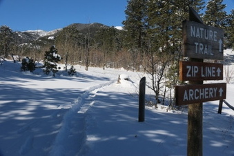 Enlarge photo 62