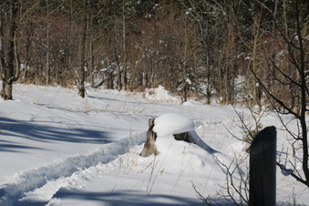 Enlarge photo 63