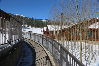 Enlarge photo 67