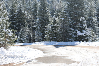 Enlarge photo 9