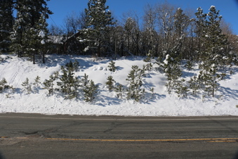 Enlarge photo 21