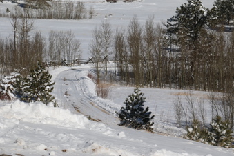 Enlarge photo 27