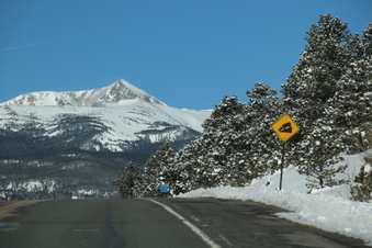 Enlarge photo 32