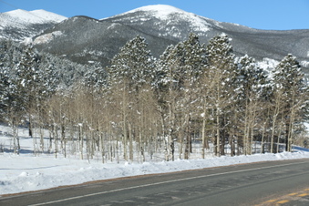 Enlarge photo 35