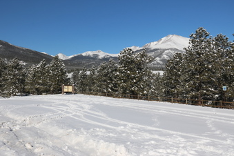 Enlarge photo 38
