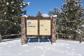 Enlarge photo 39