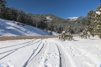 Enlarge photo 42