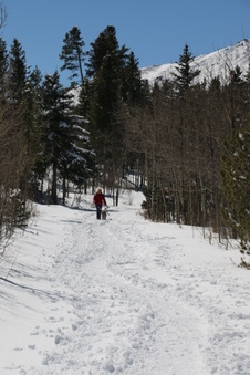 Enlarge photo 6