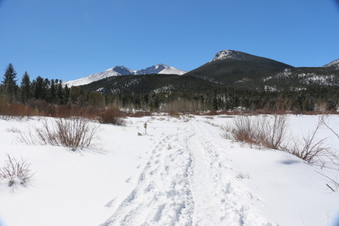 Enlarge photo 15