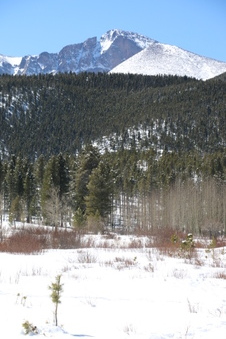 Enlarge photo 17
