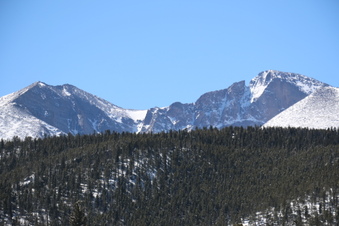 LILY LAKE