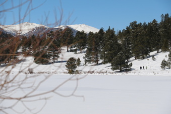 Enlarge photo 19