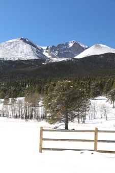 Enlarge photo 3