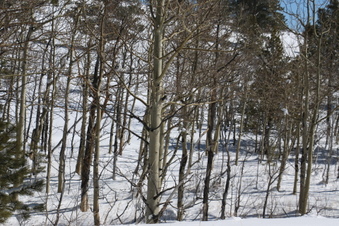 Enlarge photo 7
