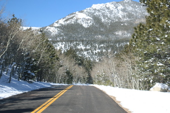 Enlarge photo 55