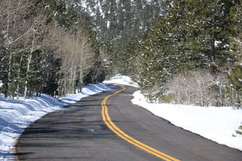 Enlarge photo 57
