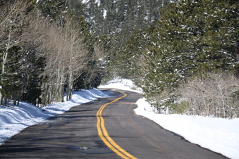 Enlarge photo 58