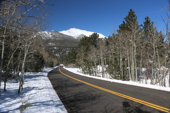 Enlarge photo 59