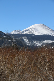 Enlarge photo 74