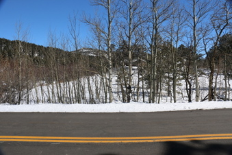 Enlarge photo 75