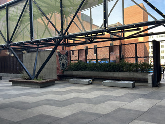 Enlarge photo 17