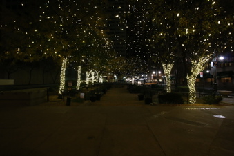 Enlarge photo 16