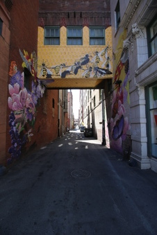 Enlarge photo 63