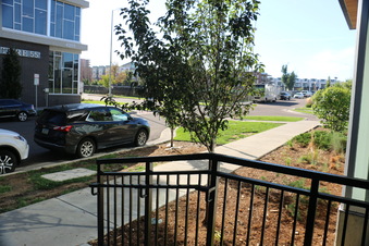 Enlarge photo 36