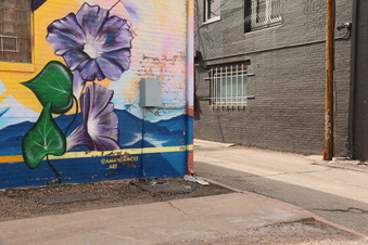 Enlarge photo 5