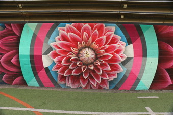 Enlarge photo 13