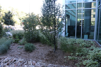 Enlarge photo 27