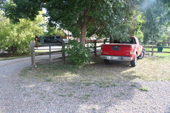 Enlarge photo 79