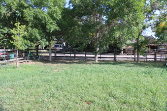 Enlarge photo 84