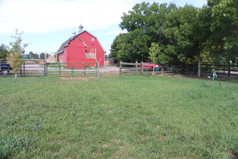 Enlarge photo 92