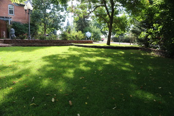 Enlarge photo 155