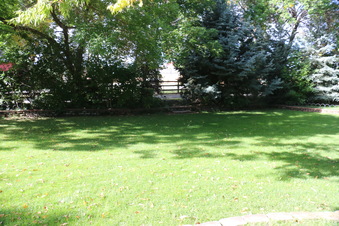 Enlarge photo 169