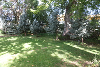 Enlarge photo 173