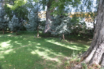 Enlarge photo 174