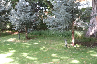 Enlarge photo 175