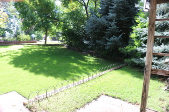 Enlarge photo 179