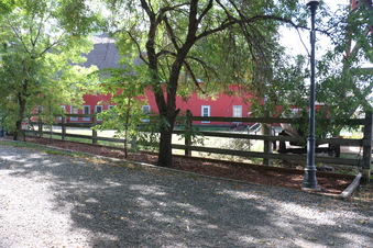 Enlarge photo 184