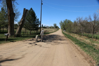 Enlarge photo 3