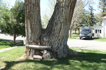Enlarge photo 18