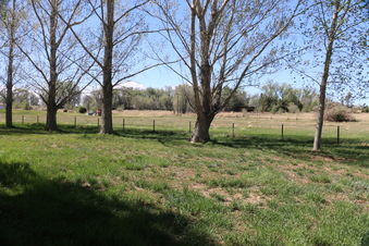 Enlarge photo 90