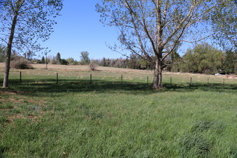 Enlarge photo 91