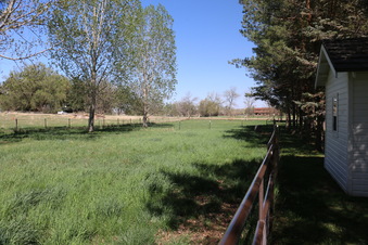Enlarge photo 92